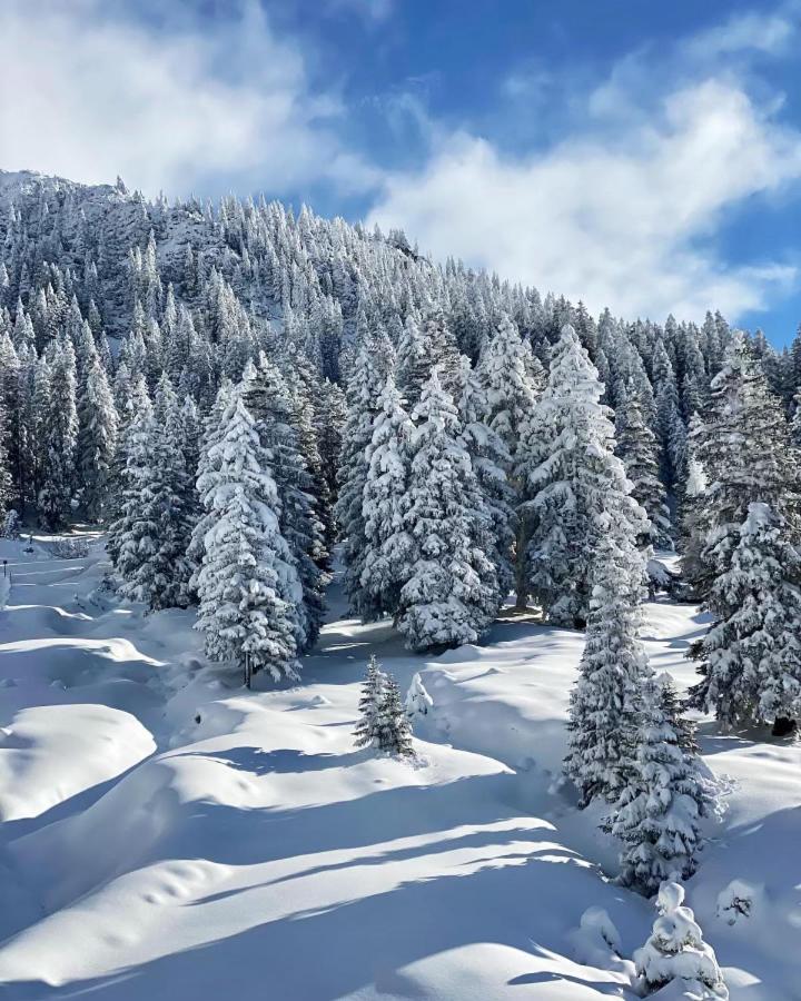 Haus Tirol Ehrwald Hotel Eksteriør billede